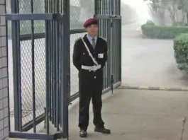 museum security guard